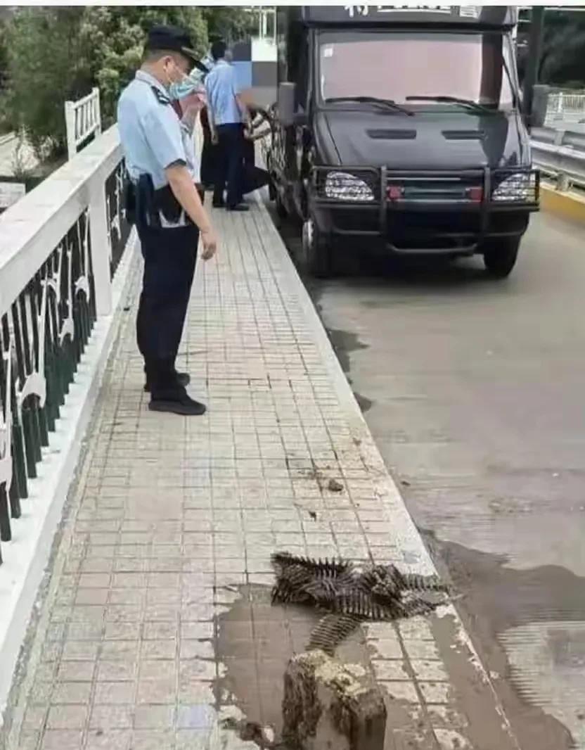 看来钓鱼佬又立功了，不要问此时的钓鱼佬在哪？那肯定是继续在钓鱼。