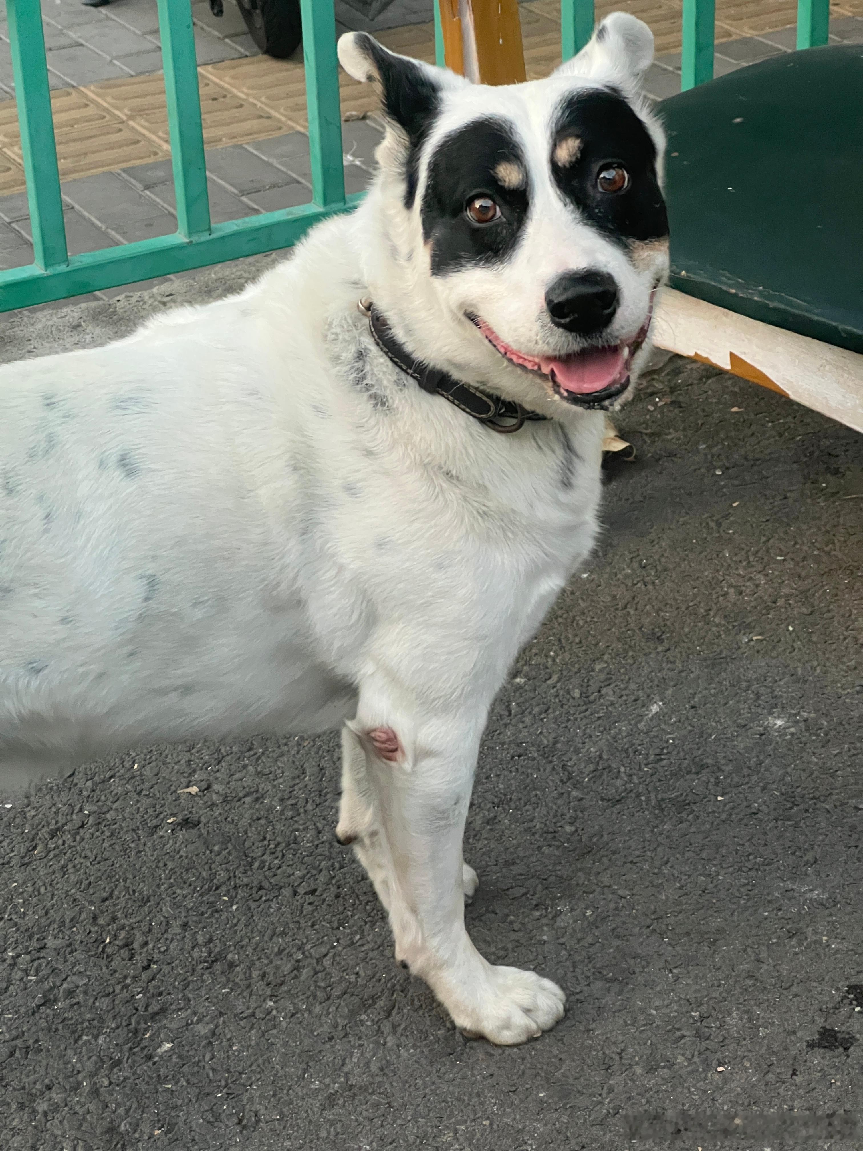 我一直说，车上的沙发再舒服也不如自己家里客厅的那个。但把车上的沙发搬家里这个操作