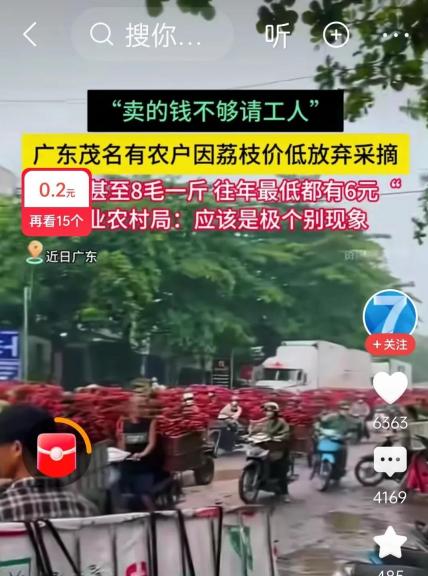 广西荔枝8毛一斤，当地却卖十多块？交通发达，为何运不出来？这种巨大的价格