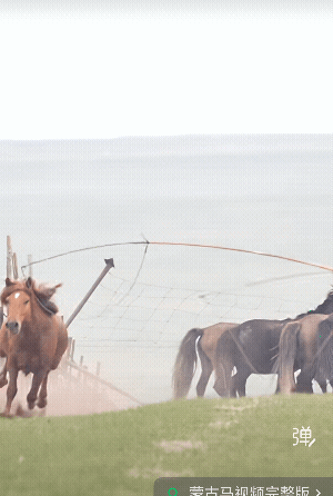 翻蹄亮掌，蹄跳刨嚎，鬃尾乱炸，宝马良驹！就是肚子有点大！[捂脸哭]