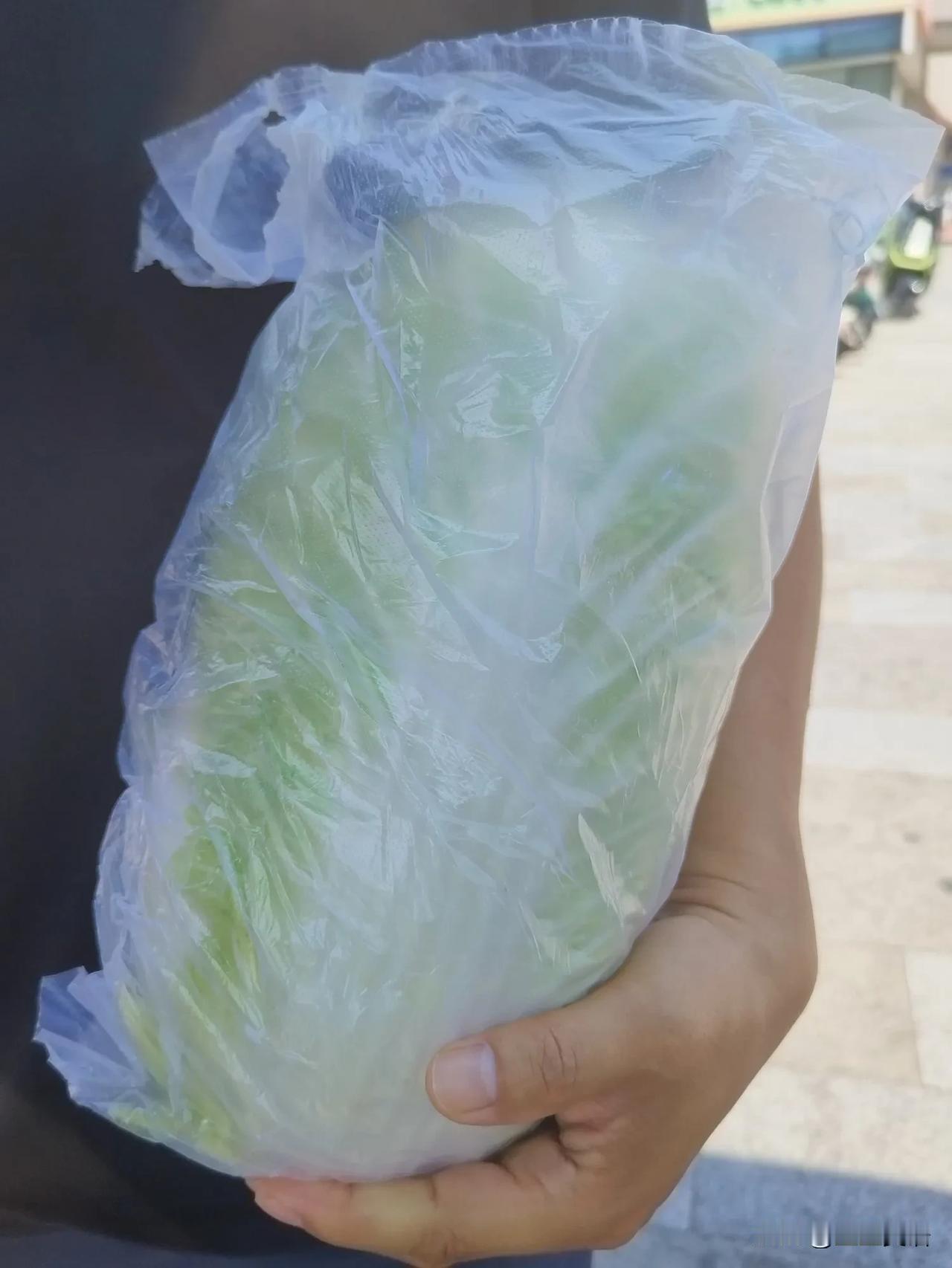 买了一棵大白菜，老公抱着它走了一段路，说咋地感觉像抱着二胎在逛街一样[捂脸哭]我