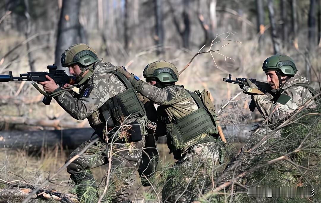 乌克兰不用再纠结割地求和的事情了，实际上，俄罗斯自己就能把顿巴斯打下来！俄罗