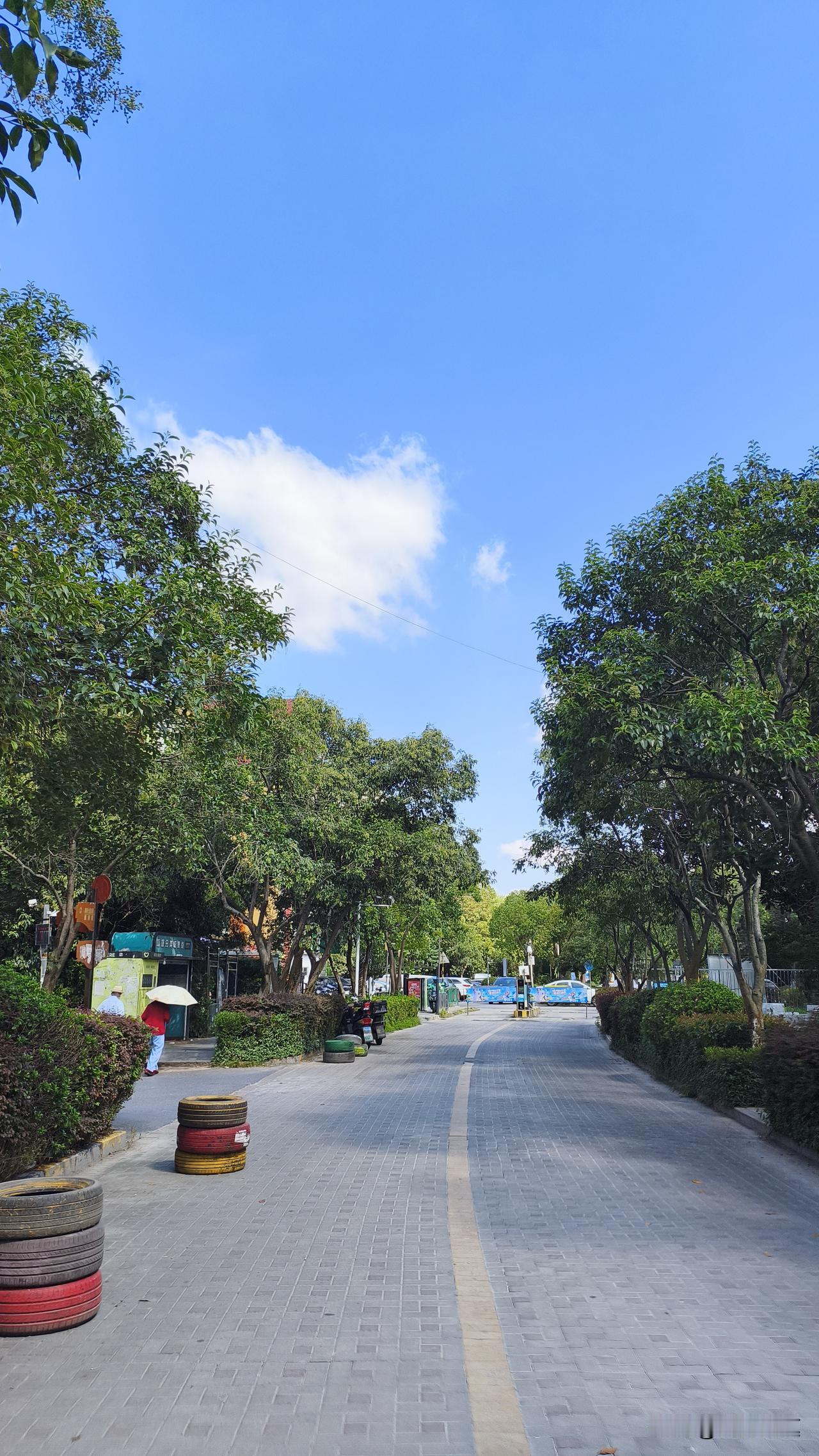 南京本周三最低温度直接降到19℃，早上出门风一吹胳膊上都起鸡皮疙瘩，我都翻出压箱