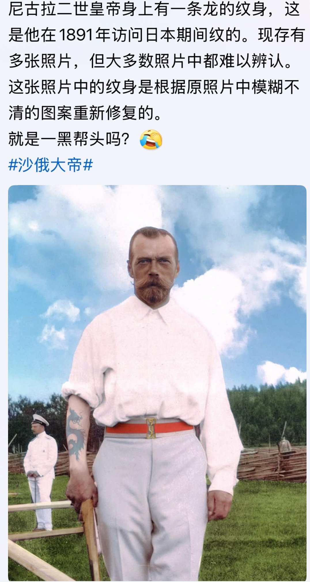 梅姐夫沾上胡子就挺像