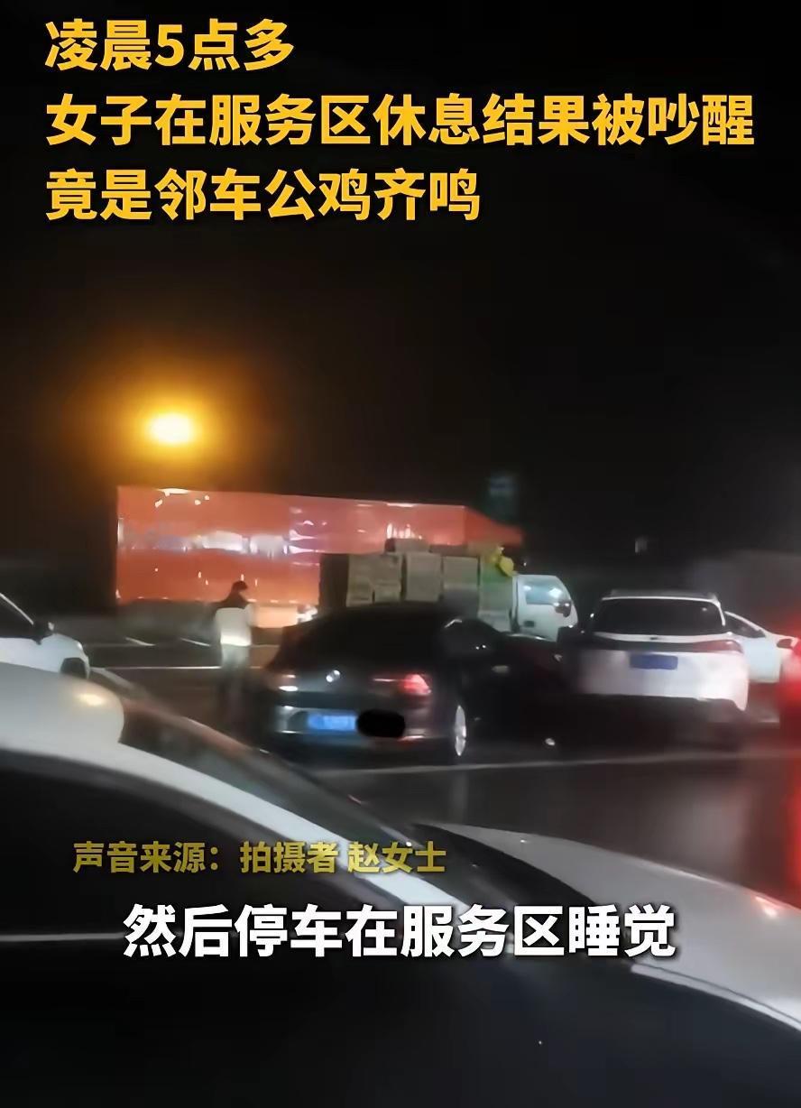 湖北恩施，一女子开车上高速回家过年，路上实在太困就在服务区睡了一觉，没想到，天还