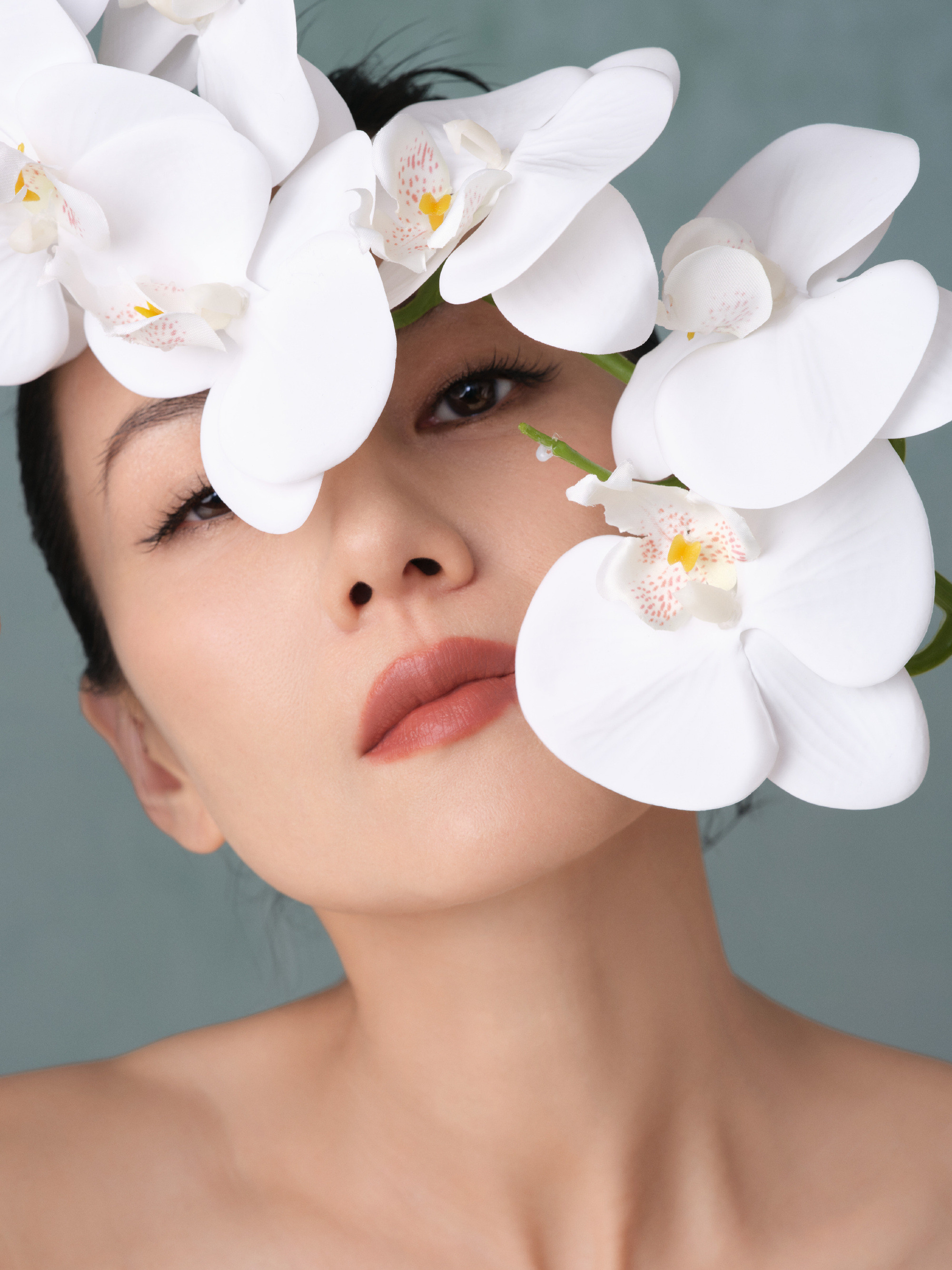 高圆圆与光同行，与美共生