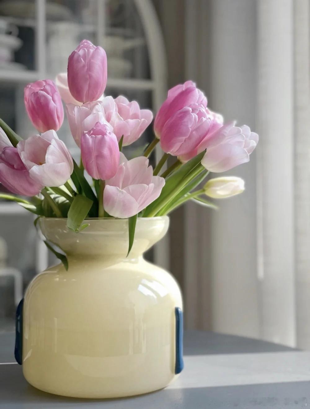 5月属猪人在2026年的农历5月份，会迎来不错的发展，在这个月份当中，他们的人际