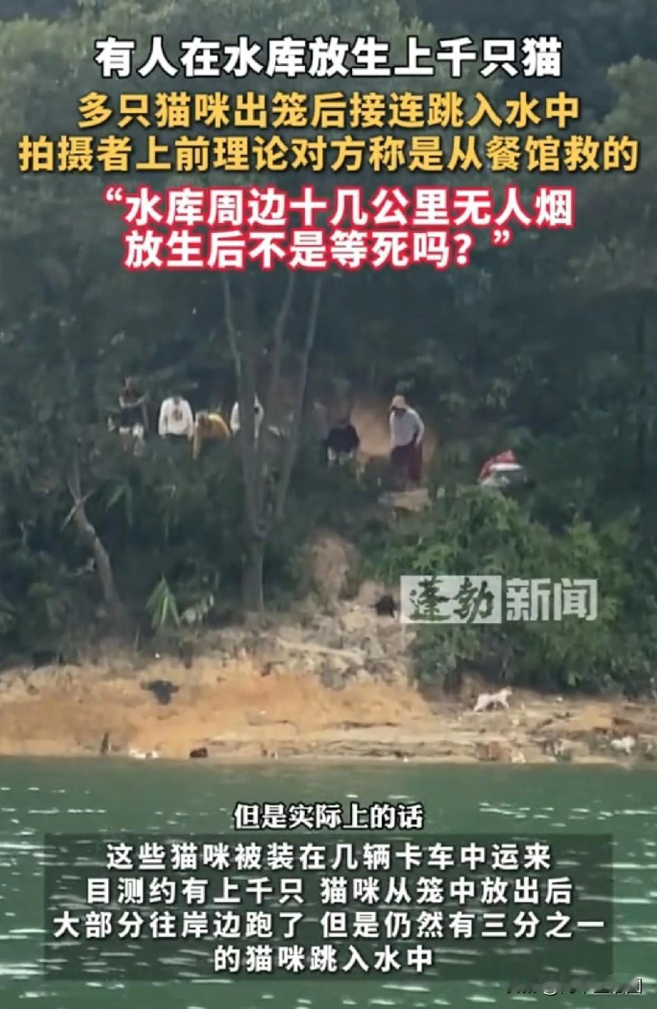 又是放生惹的祸，为什么有些人这么热衷放生，实在想不明白。广东清远迎嘴水库放生