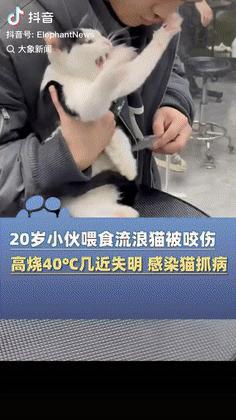 这是真吓人！上海一男子给流浪猫喂东西时，不小心被对方给抓伤了，不过男子却没有太在