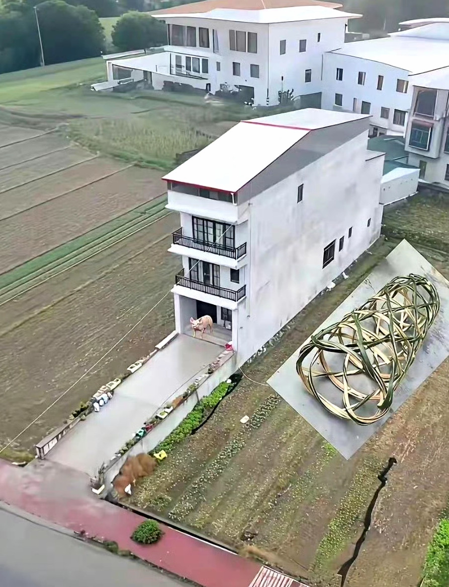 这种房子在农村被叫做“猪笼房”。​