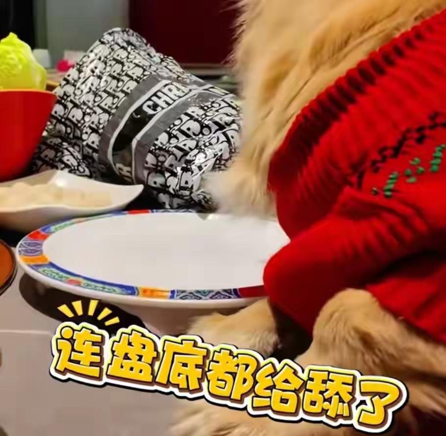 北京餐厅惊现狗上桌舔盘！女子还拍视频炫耀，不出意外早晚社死！12月18日凌