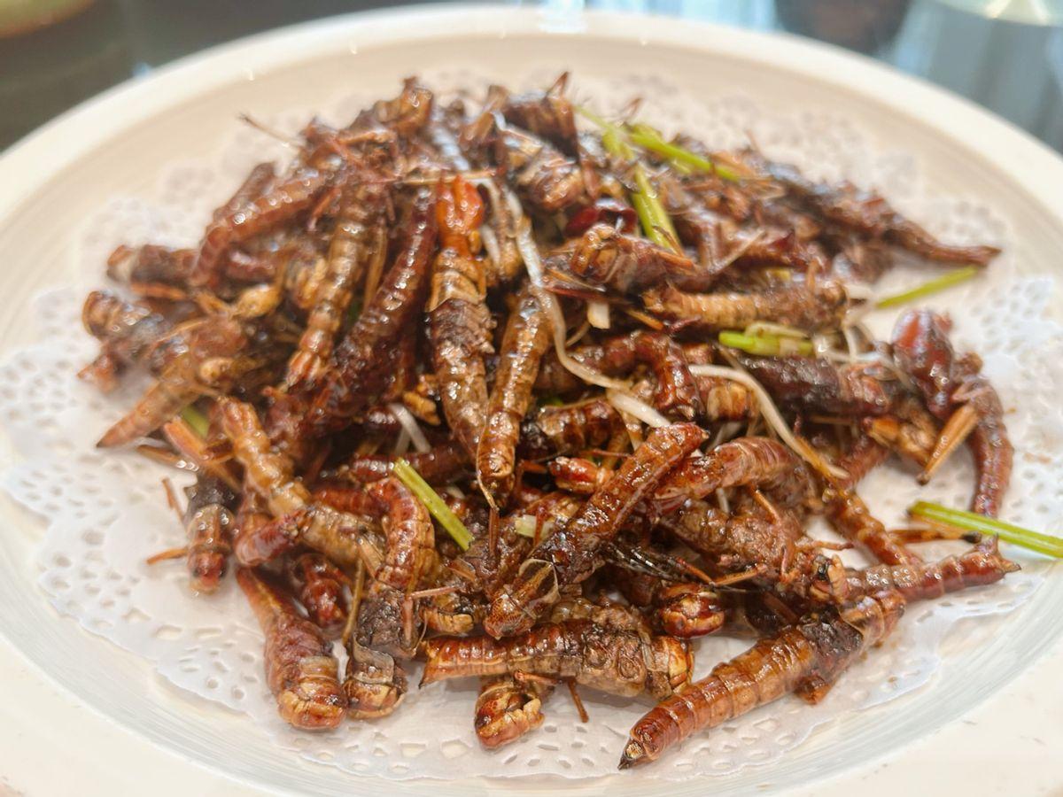 为什么同样作为异蛋白，虾蟹等海鲜就能作为主要的高蛋白来源，而昆虫不行？其实答