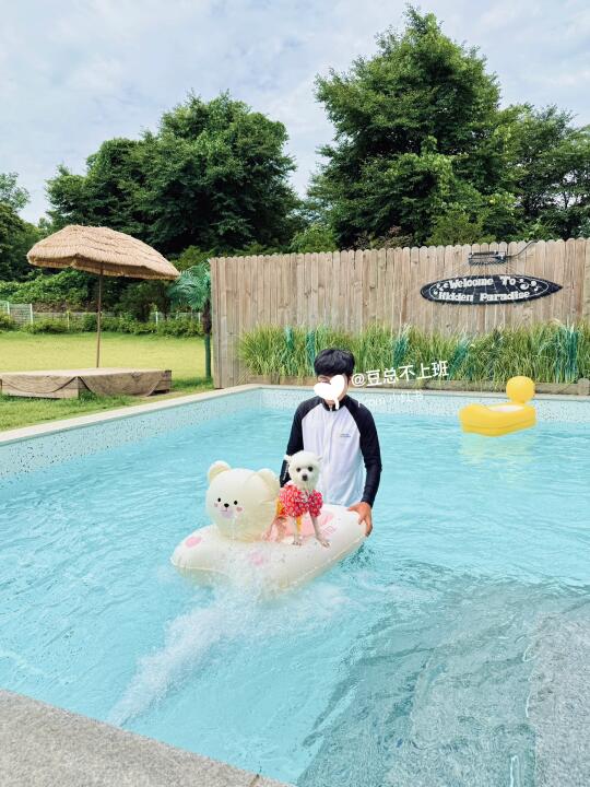 🇰🇷清凉一夏｜I人I狗夏日玩水好去处💦