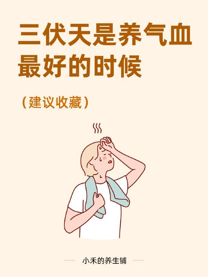 三伏天真的是养气血的黄金期！很多人只觉得三伏天热和闷，却没意识到这是一年中阳气最