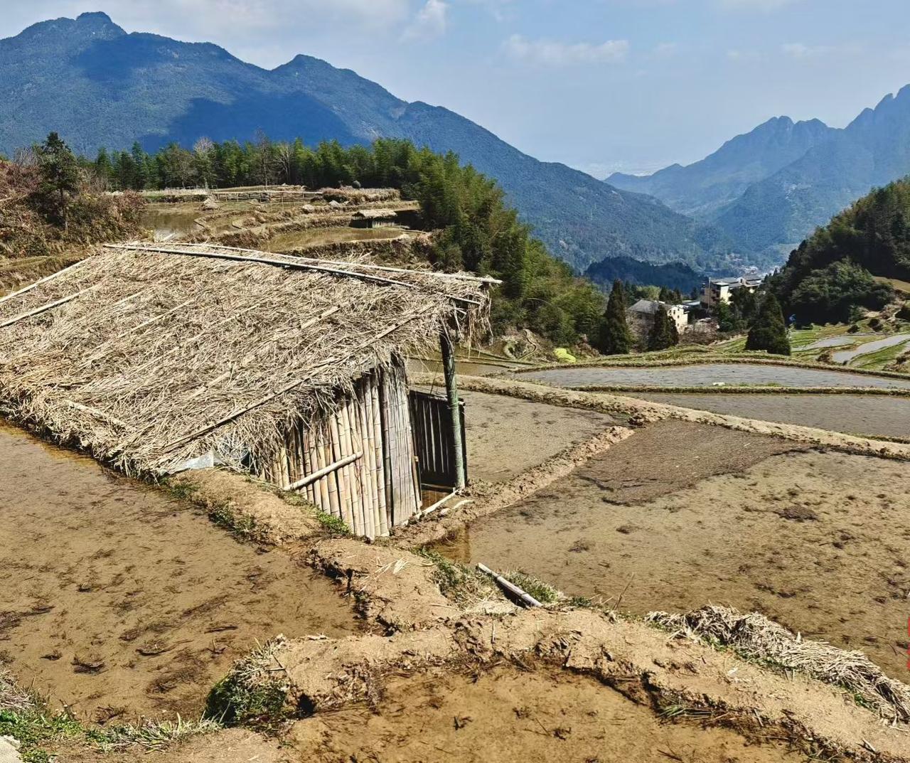 记录我的2026远山含黛，梯田层叠，一间茅舍，藏尽山野的宁静与岁月的安然。