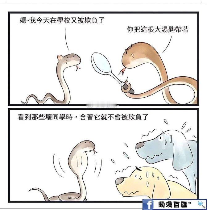 哈哈哈哈哈眼镜蛇​​​
