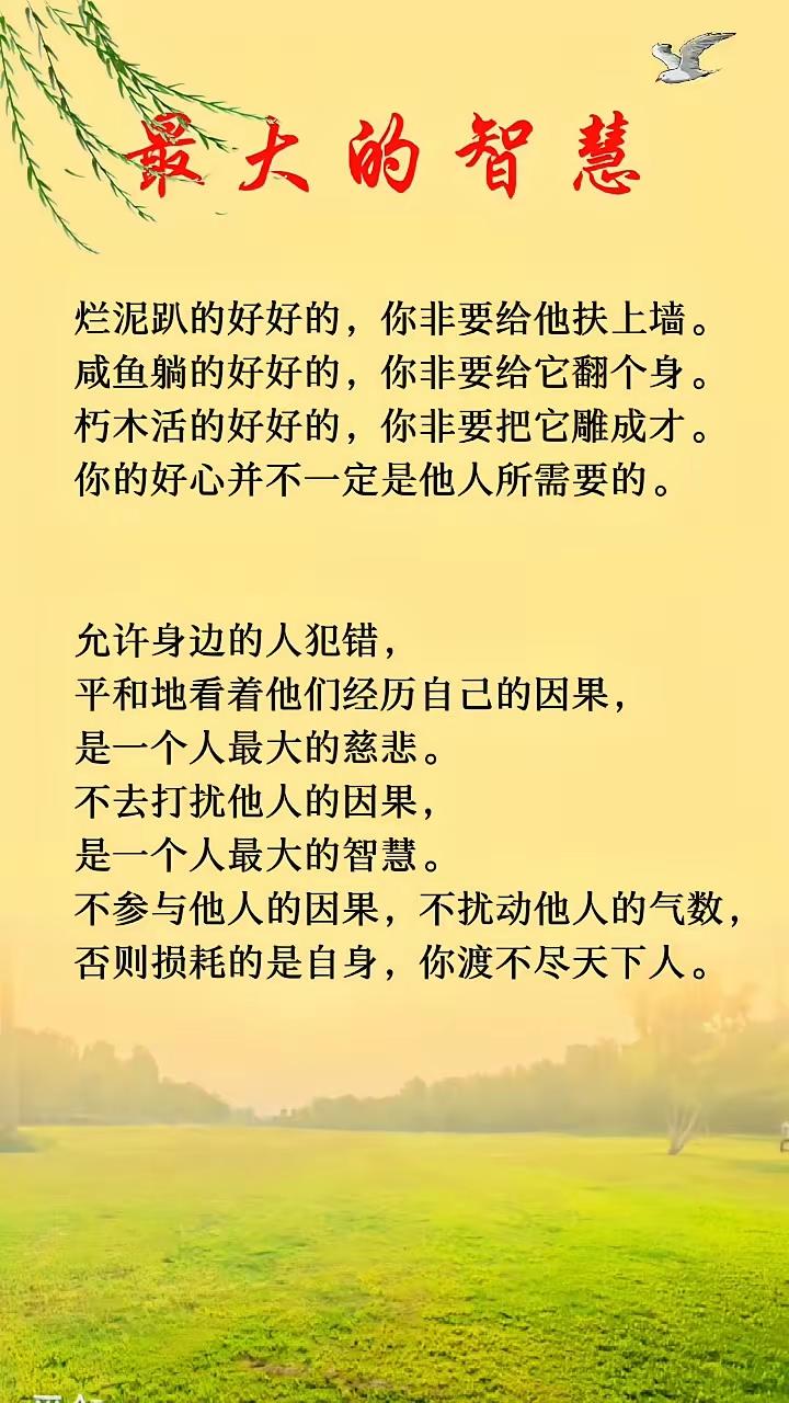 🍃反者道之动，弱者道之用｜成年人最高级的清醒，是顺势不争、藏锋而行✨国学