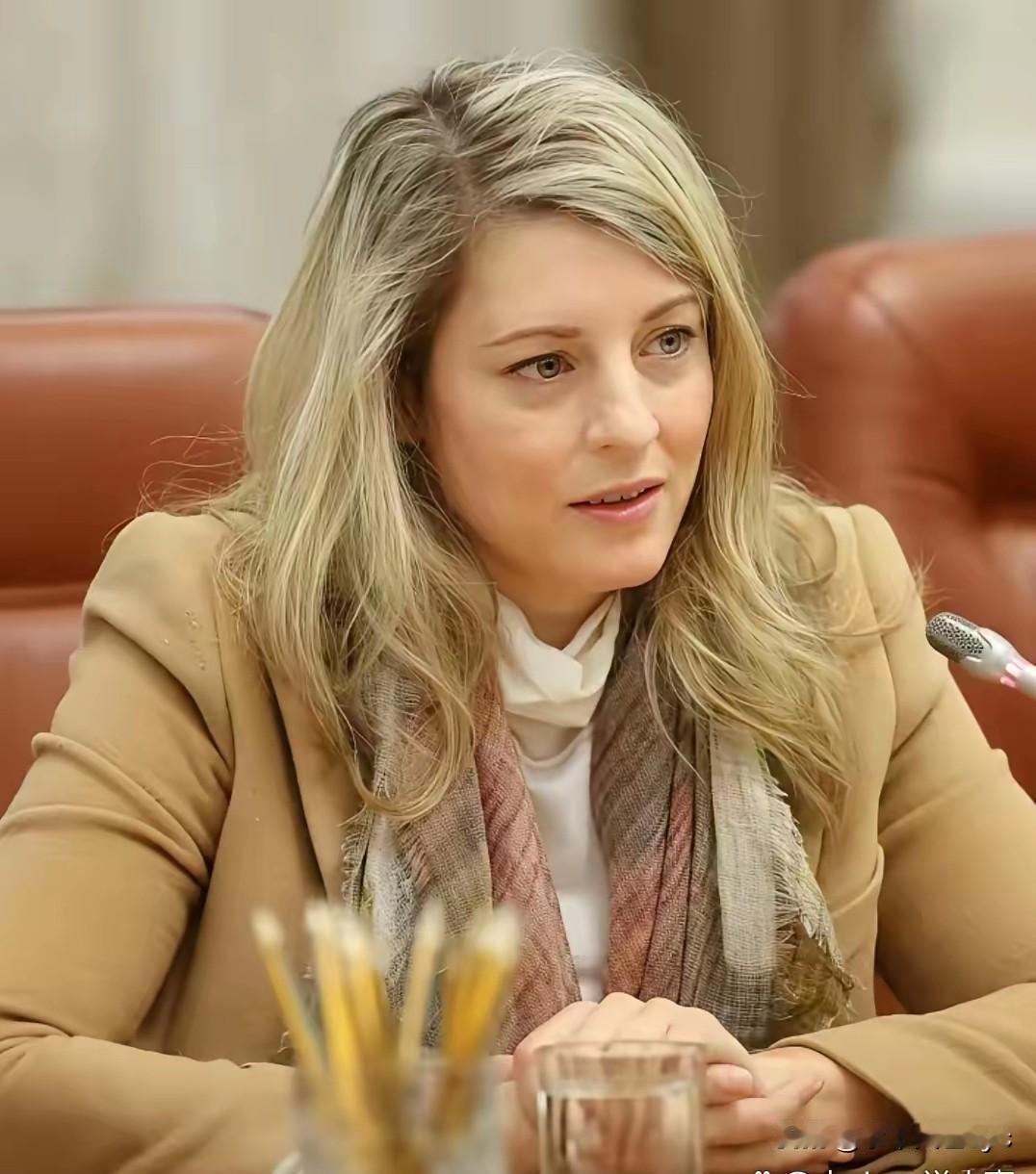 加拿大总理访华团队重要成员、原外交部长、现工业部长乔利在1月16日直白表示，现在