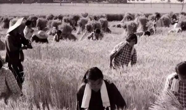 1977年，安徽女知青于文娟，返城前夜把自己给了农村小伙：“你对我的好，我无以为