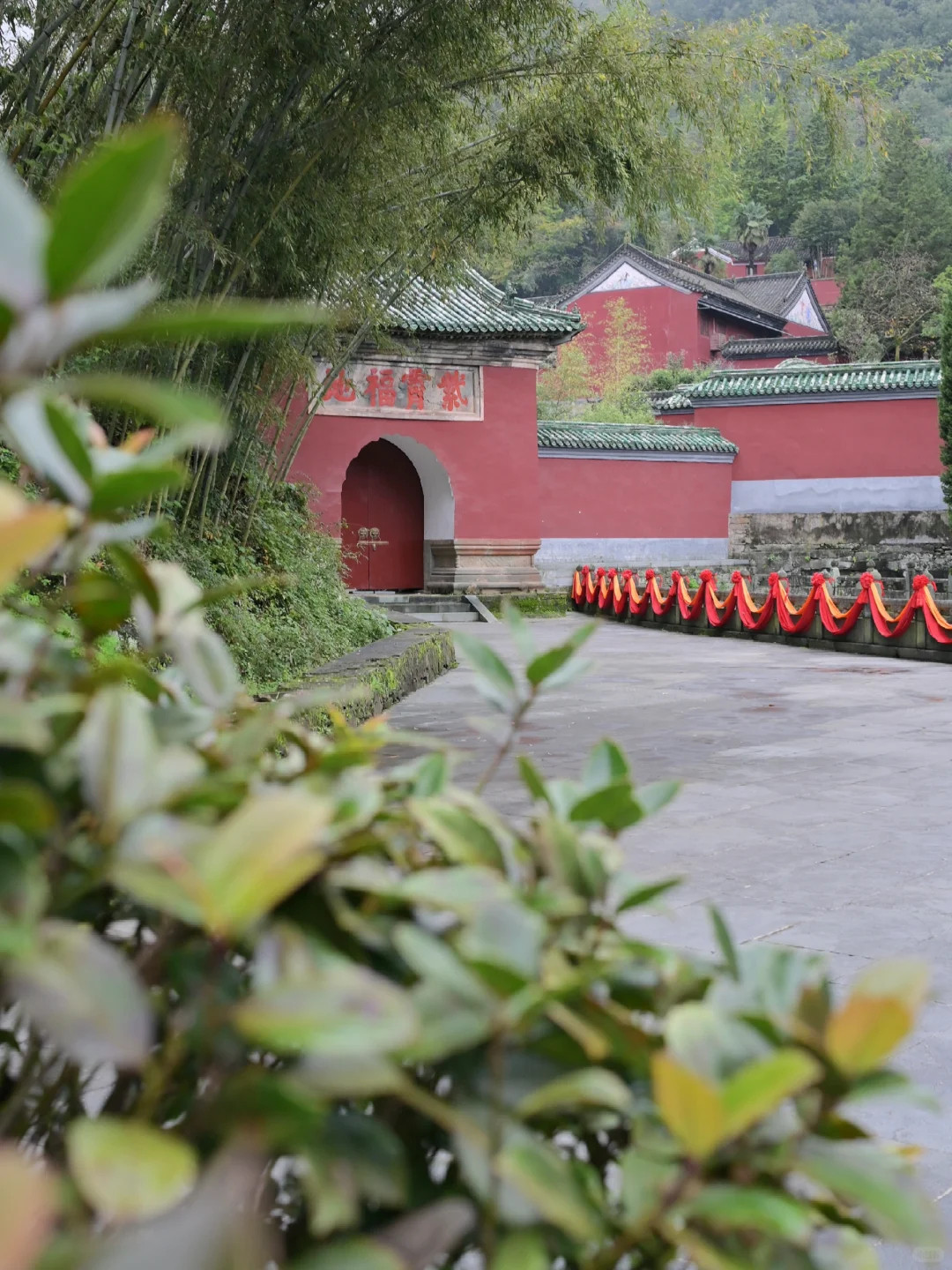 “来武当山只有0次和无数次...”​​​
