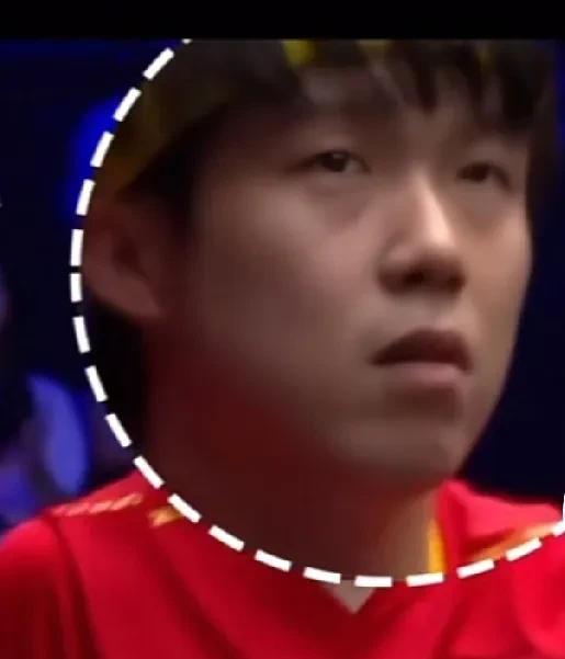 真好，如果是真的!这八百倍的镜头啊，真的是啥都放不过，一个眼神都看得清清楚楚。