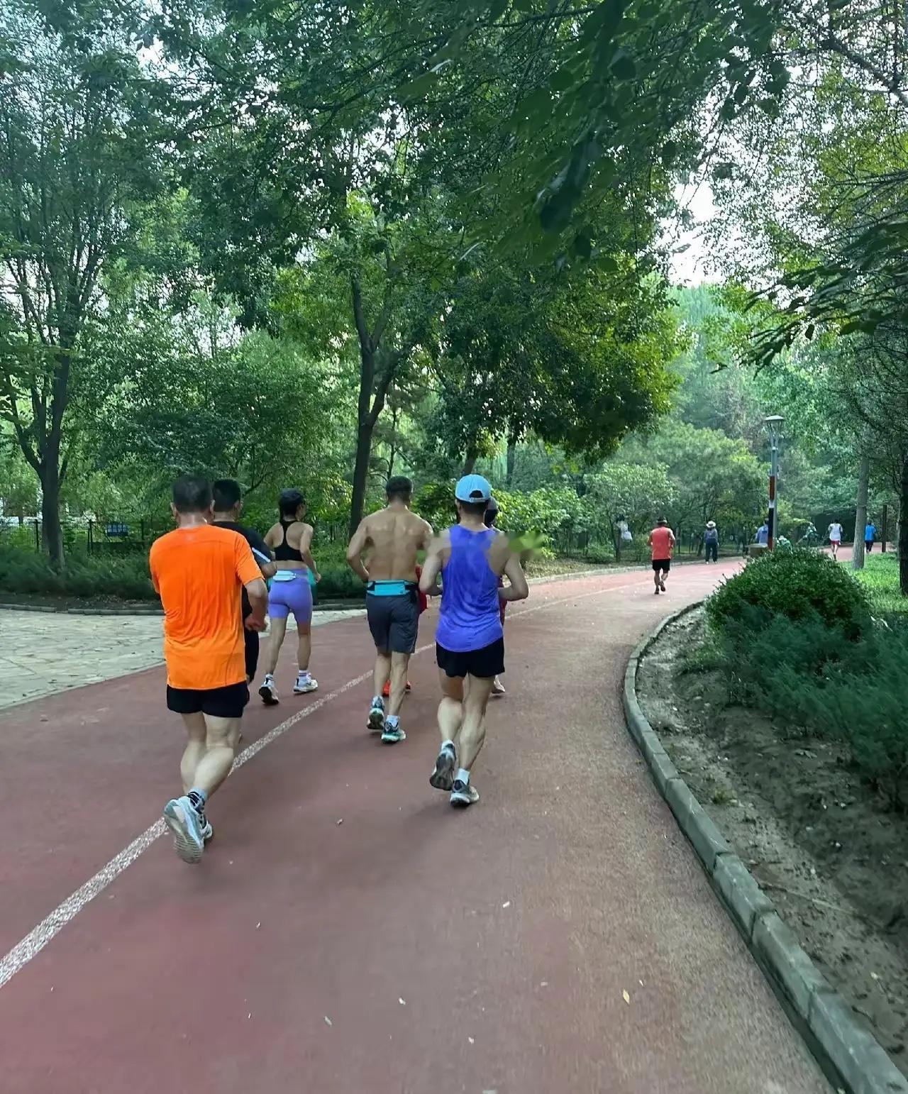 一位运动医学研究者说：“长期慢跑，能解决80%的病。不是它能治病。是它能拔根。8