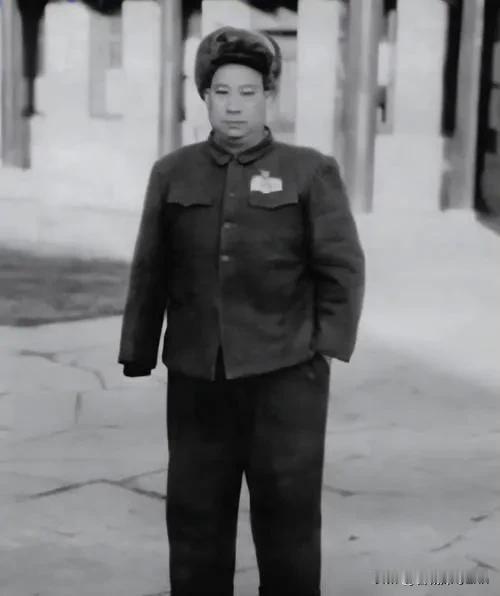 贺炳炎目睹了一名八路军士兵被一个不满五尺的日本兵一刺刀捅倒在地，不由地怒火中烧，