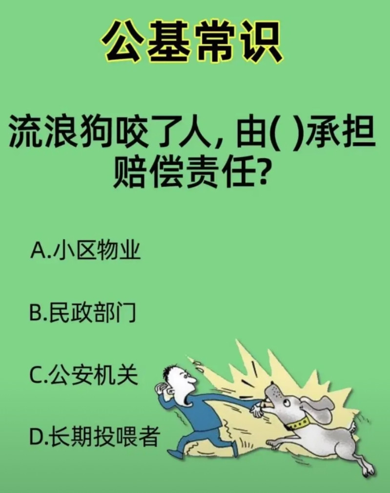 流浪狗咬人了，有谁承担赔偿责任？你们知道答案是哪个吗？奉劝那些养狗的人，请善待它