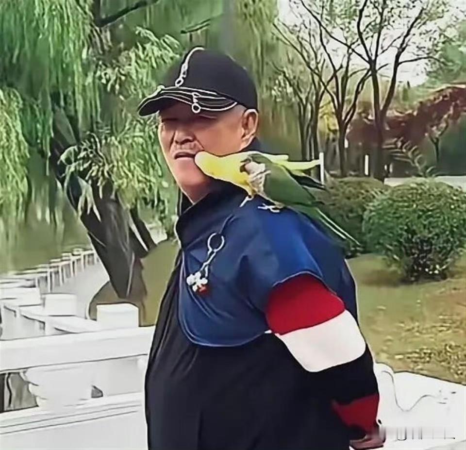 赵本山近况最近有网友在三亚偶遇赵本山老师，老爷子正悠闲遛鸟，日子过得太舒坦了！