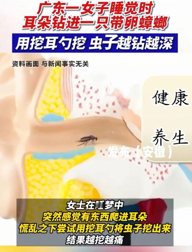 好吓人！广东，一女子凌晨在家睡觉，突然觉得耳边“痒痒的”，像有什么东西在蠕动。起