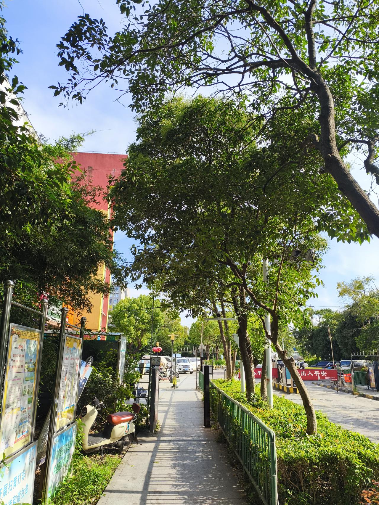 高温天防暑降温确实太重要了，锻炼真得悠着点。张至顺道长说人要多走路，别跑步、别大
