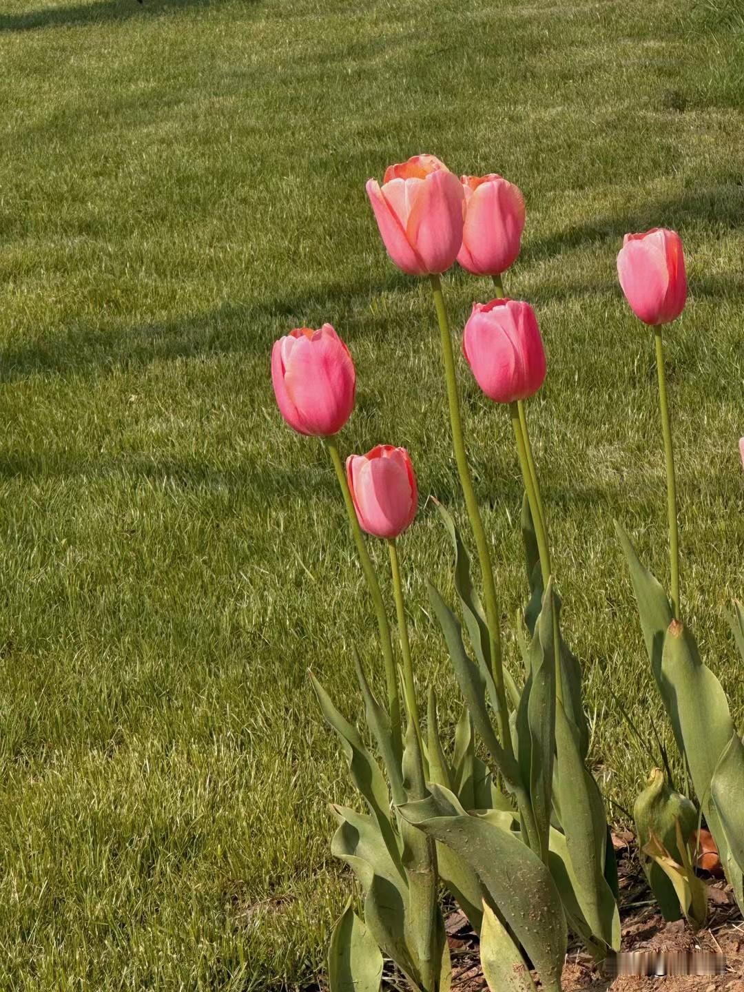 2026事业顶呱呱，赚钱爽歪歪，还清房贷一身轻[墨镜]