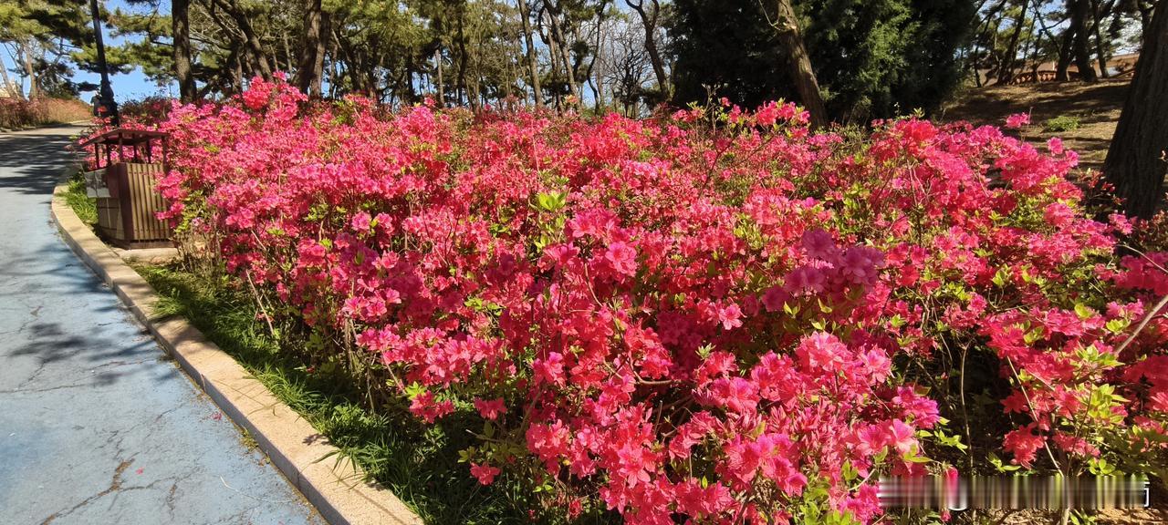 别背那三种“冲突管理”了，你连吵架都不会吵，还鼓励良性冲突？今天开管理会，一