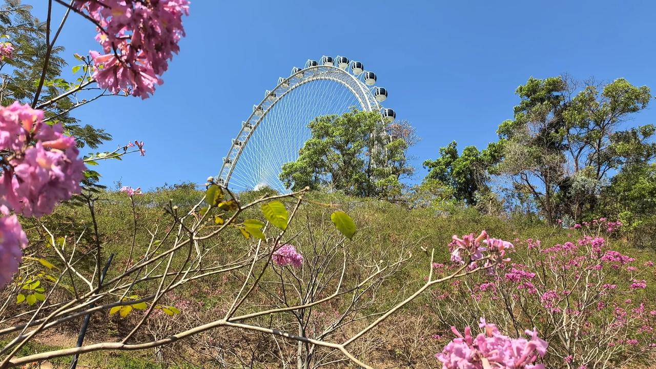 盘后继续释放利好，两天的假回调就是洗盘。银行今天大跌把指数带下来，科技股继续高歌