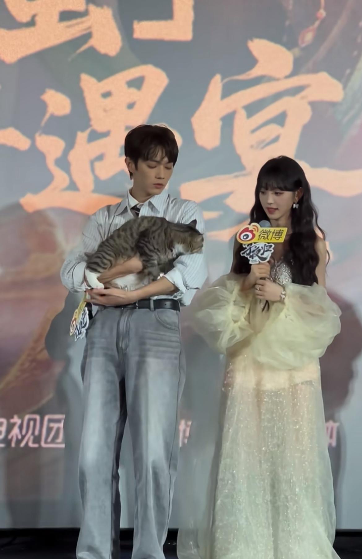 狸花猫田曦薇来啦！人和猫一样可爱！这五个主演应该都有养猫，所以能看出来猫猫比较