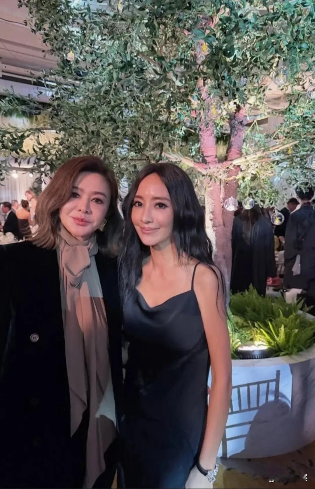 关之琳这张脸可惜了啊，照她的底子，自然老去也会很美的。63岁的关之琳，现身好友