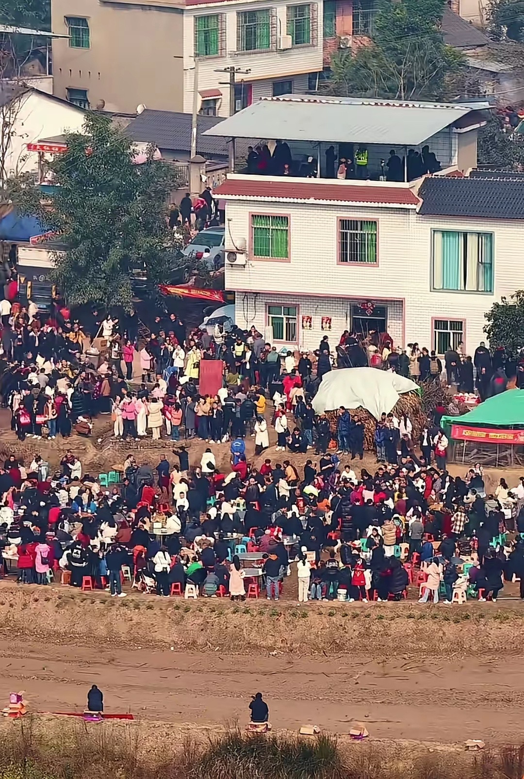 呆呆爸：女儿啊，明年的猪我能按住。合川文旅：你年龄大了，按不住。网友:槑爸爸，您