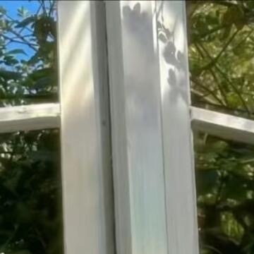 0000番茄的种植方法：一、准备阶段：可以选择较大的花盆、泡沫箱或在园地里种植。