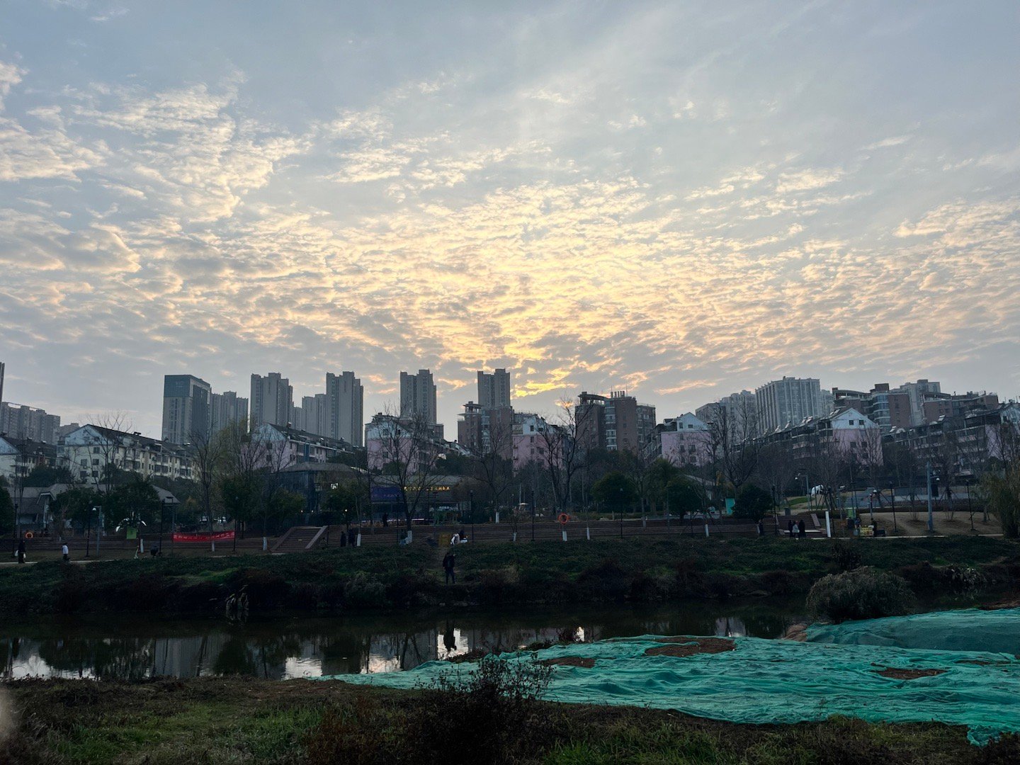 这天气太适合跑步了，一起运动