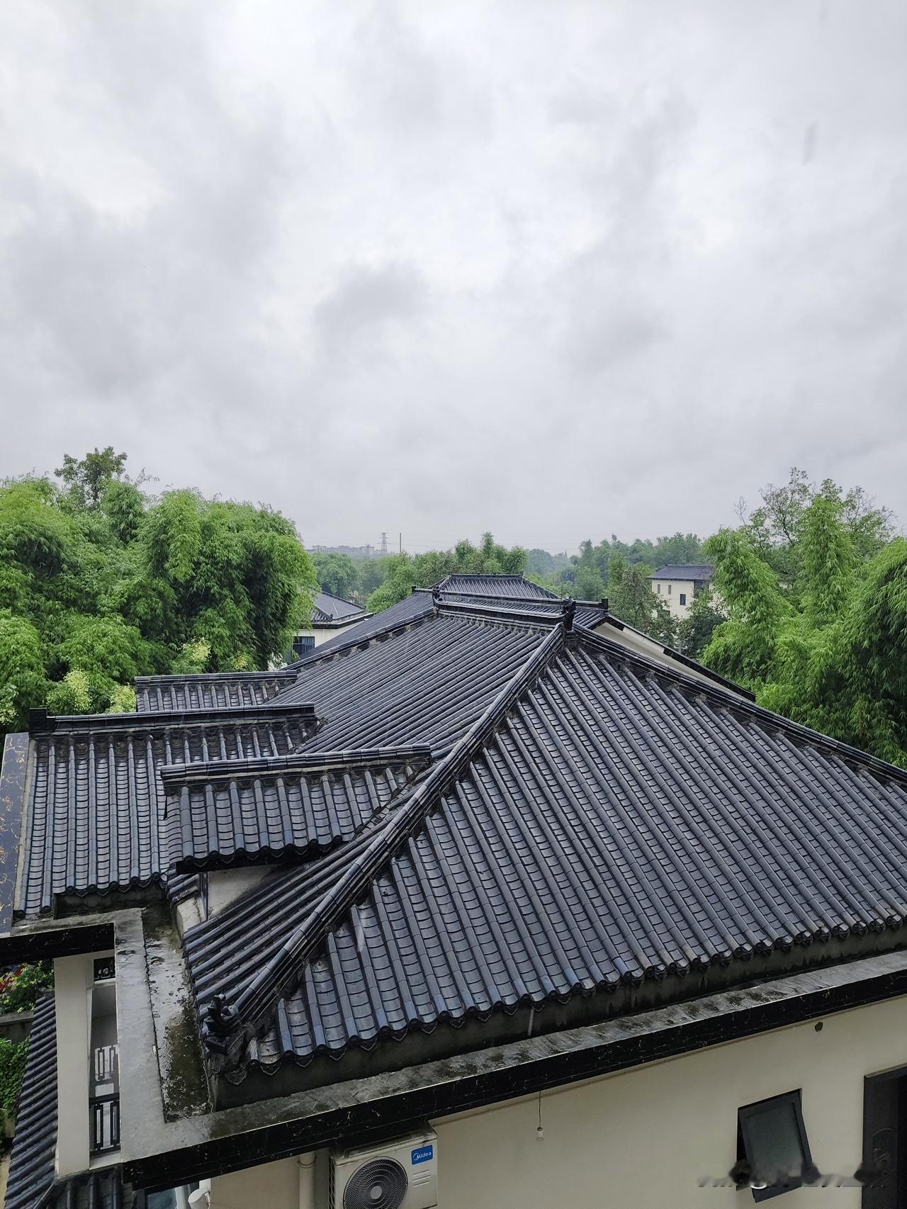 下雨天不出门，能做点什么呢？成都已连续下了两天雨，风雨交加。我那盆头重脚轻的飘
