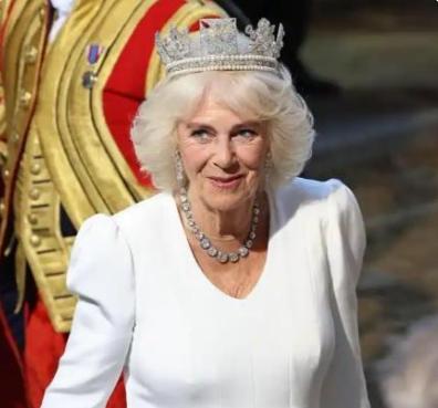 2026年1月，伦敦午夜。白金汉宫静悄悄，威廉干了件大事，卡米拉的“王后”头衔，