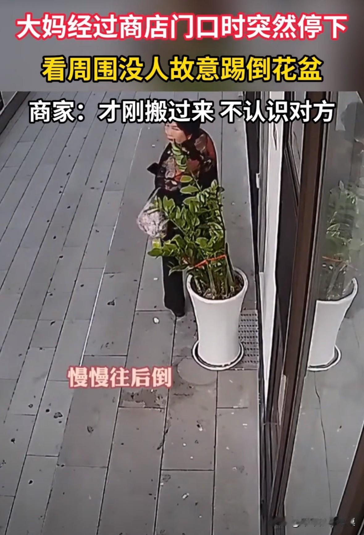 大妈经过商店门口，看到周围没人，于是故意踢倒花盆，花盆瞬间碎了一地。后来店老板