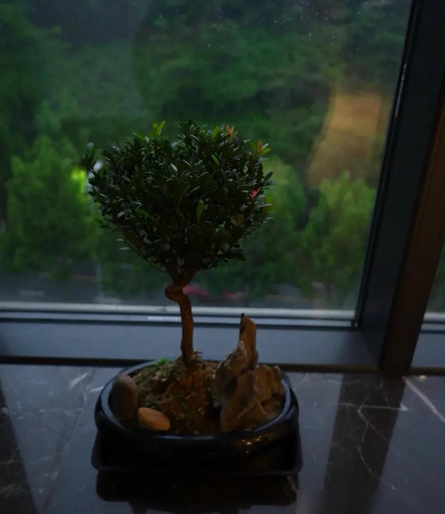 一个人对子女的态度，才是他最真实的人品。前几年真的吃过这个亏，当时认识个做建