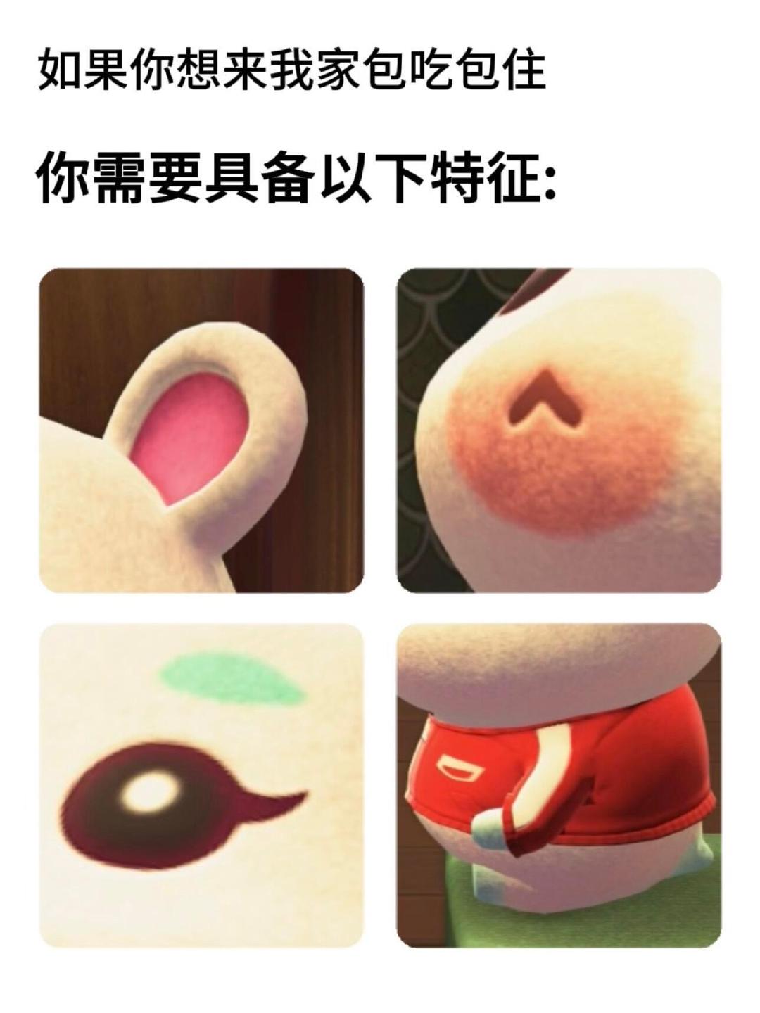 大耳朵三角嘴人畜无害卵子一枚​