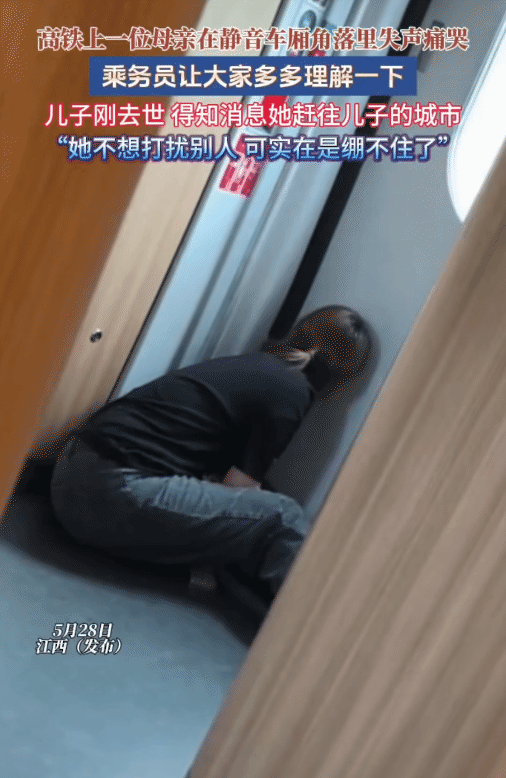 看哭了！高铁上，一位母亲因儿子刚去世。突然在静音车厢角落里失声痛哭起来。乘务员上