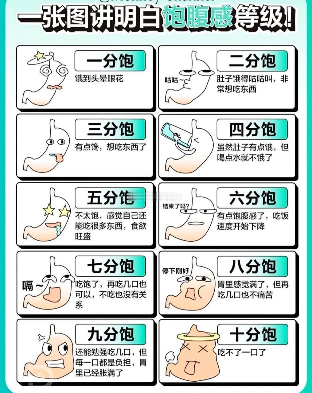 一张图讲明白饱腹感等级!​​​