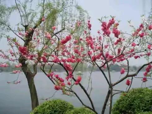 中老年外出旅游建议首选三线城市，理由如下：一，时间充裕。大家有时间，可以坐火车