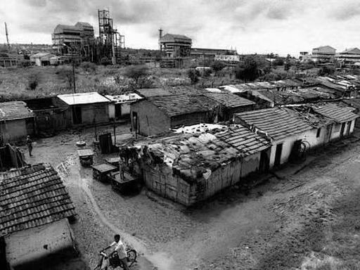 印度又不是没玩过死了几十万人印度不是没搞过化肥，但玩砸了，代价是几十万条人