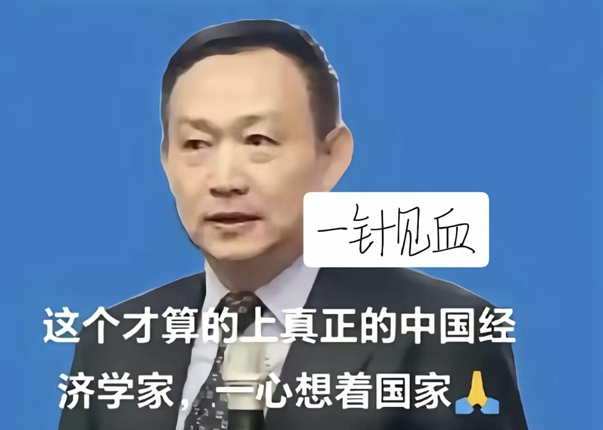 卢麒元谈关键领域私有化：守住国计民生的核心底线他长期旗帜鲜明地反对水电、数