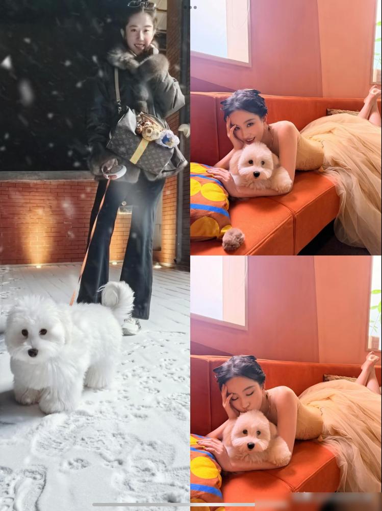 刘亦菲最近是不是有喜欢的人了我说那件外套看着好贵气，一看价格12